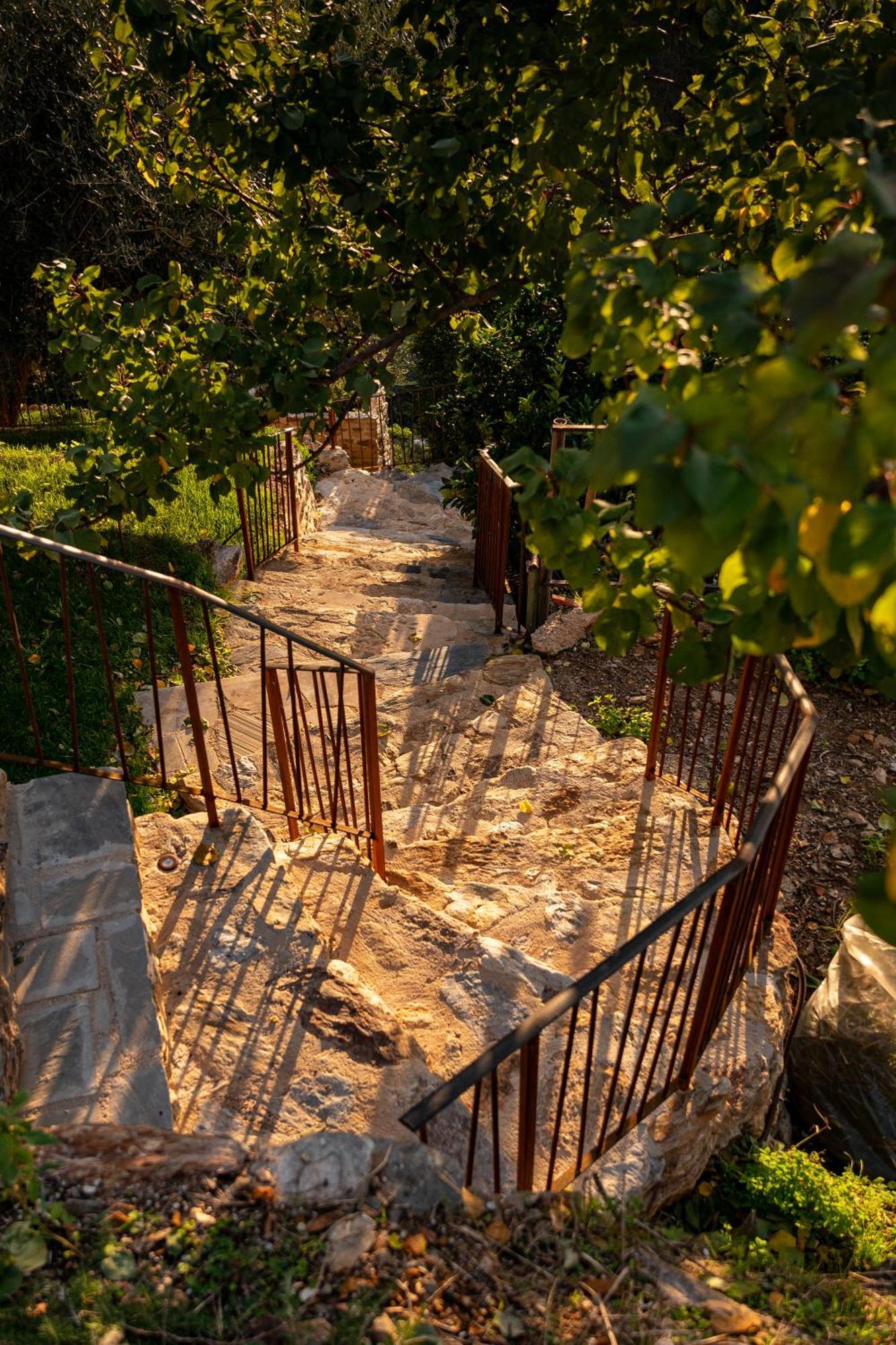 Tenuta Zamparina Montignoso Extérieur photo
